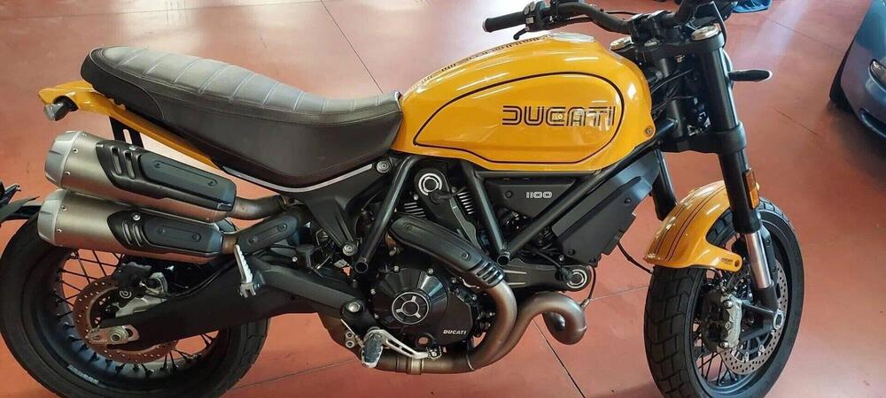 Ducati Scrambler 1100 Tribute Pro (2022 - 24) (3)