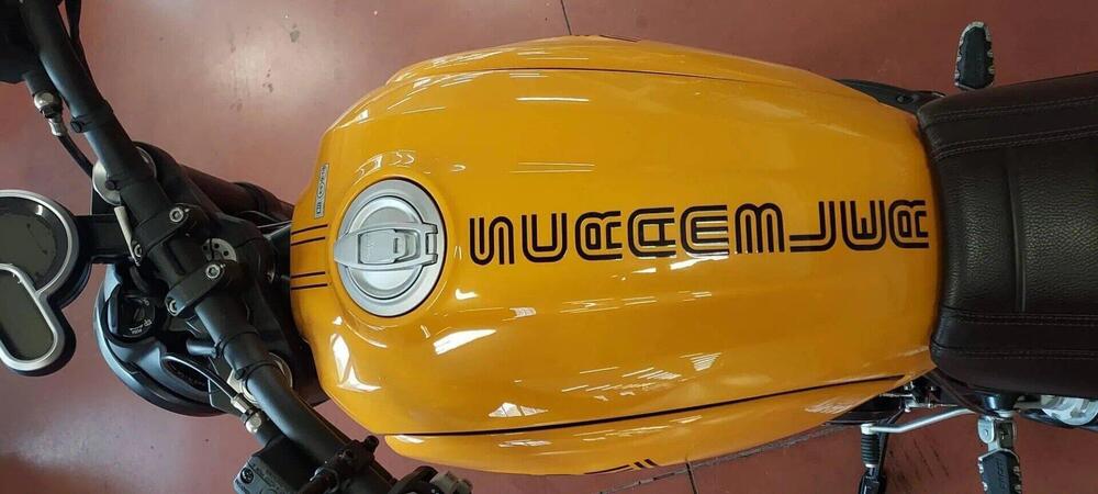 Ducati Scrambler 1100 Tribute Pro (2022 - 24) (4)