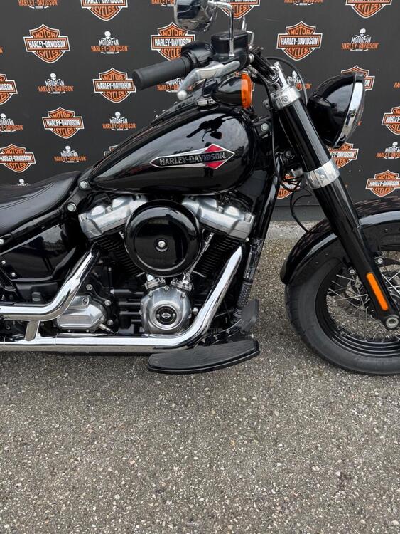 Harley-Davidson 107 Slim (2018 - 20) - FLSL (2)