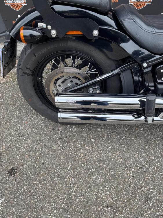 Harley-Davidson 107 Slim (2018 - 20) - FLSL (3)