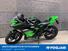 Kawasaki Ninja 300 ABS (2012 - 16) (6)