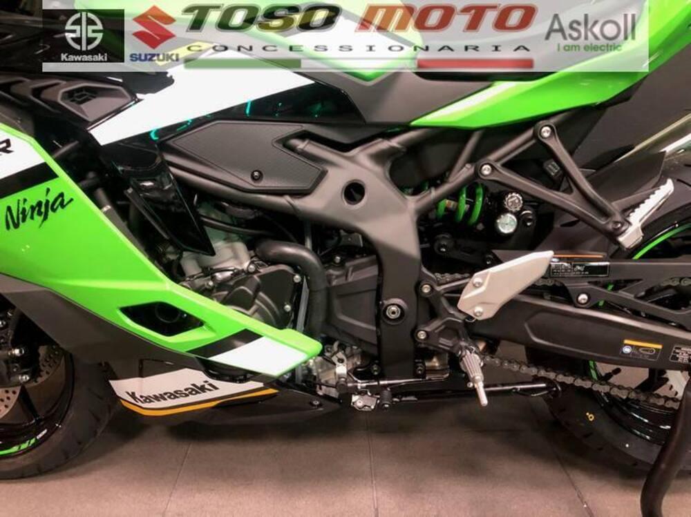 Kawasaki Ninja ZX-4RR (2024 - 25) (4)