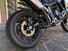 Triumph Tiger 900 Rally Pro (2024 - 25) (14)