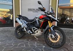 Triumph Tiger 900 Rally Pro (2024 - 25) usata