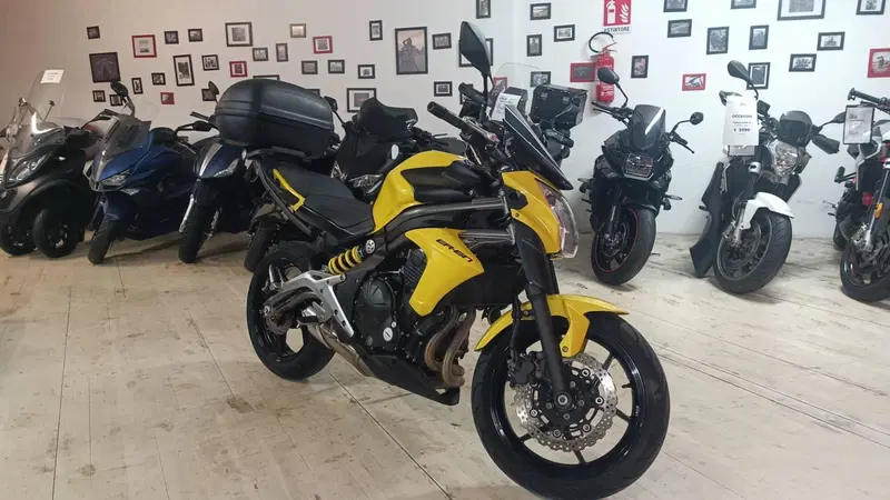 Kawasaki ER-6N (2012 - 13) (2)
