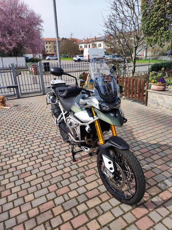 Triumph Tiger 900 Rally Pro (2020 - 23) (4)