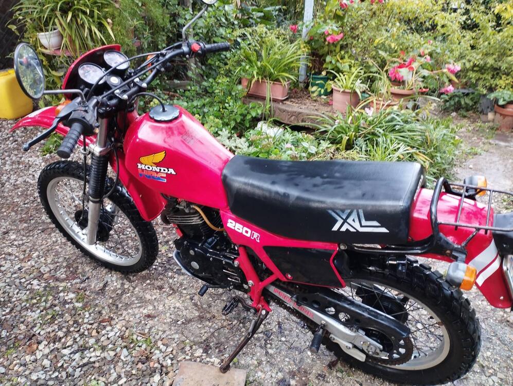 Honda XL 250 R (3)