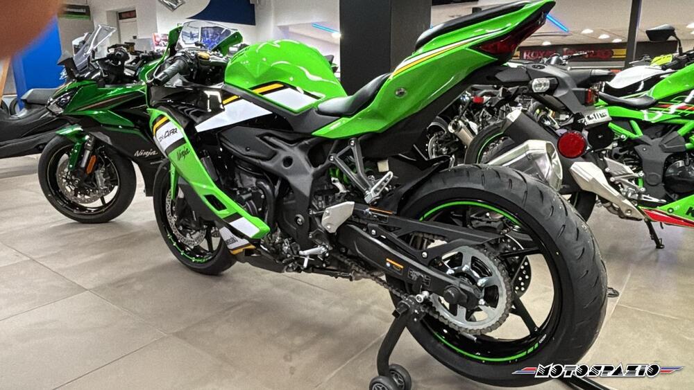 Kawasaki Ninja ZX-4RR (2024 - 25) (2)