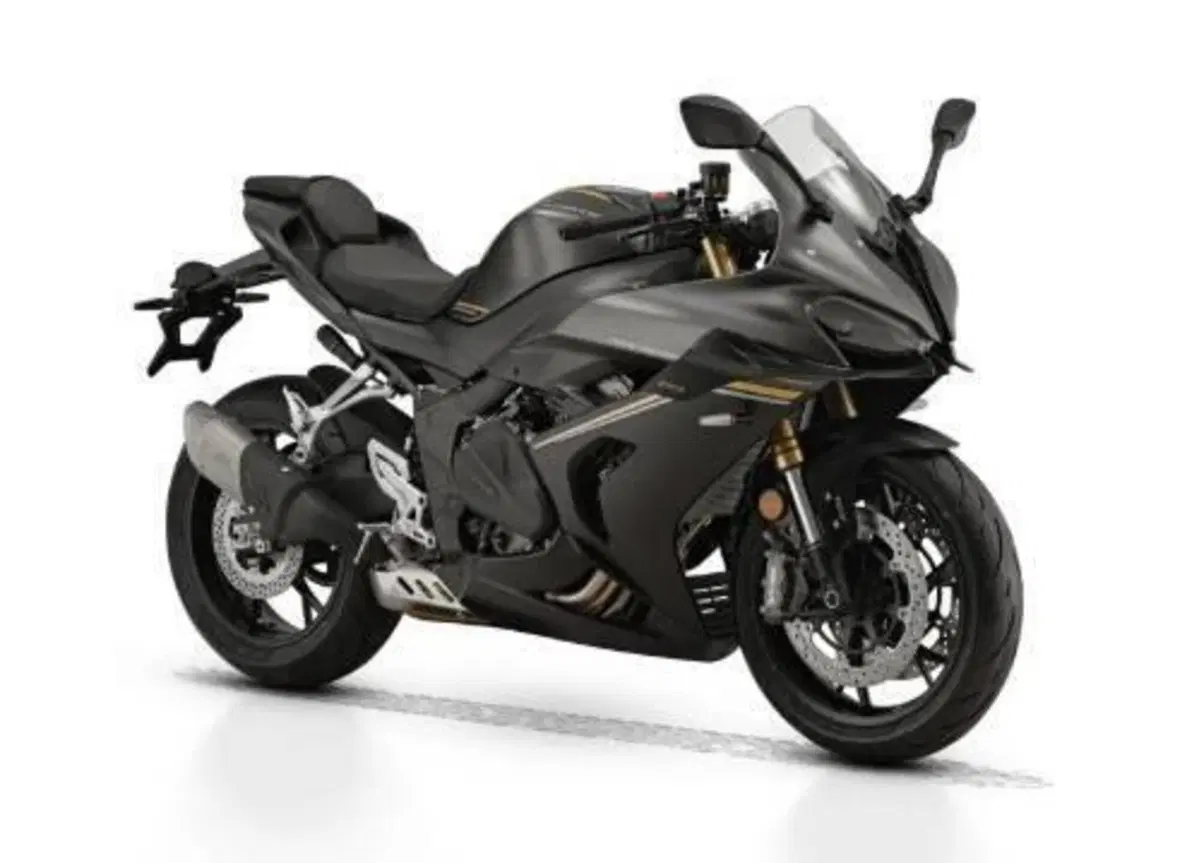 QJ Motor SRK 800 RR (2024) (5)