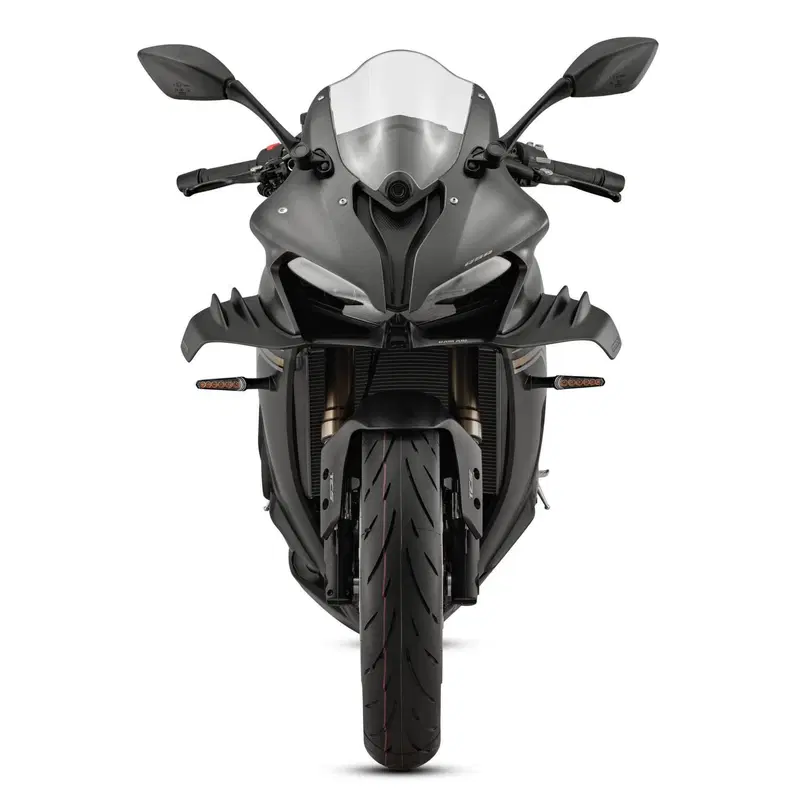 QJ Motor SRK 800 RR (2024) (6)