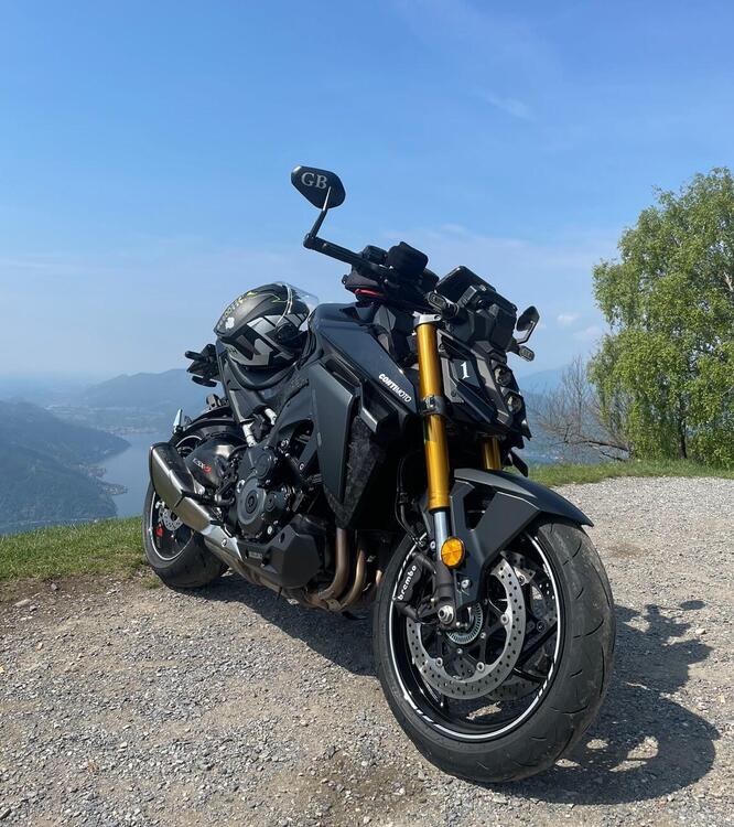 Suzuki GSX-S1000 (2021 - 25) (4)