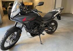 Honda Transalp XL750 (2023 - 24) usata