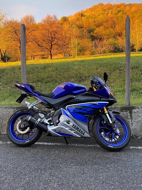 Yamaha YZF R125 ABS (2015 - 16)