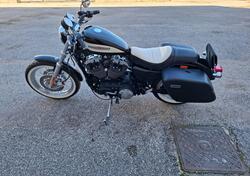 Harley-Davidson 1200 Roadster (2006 - 08) - XL 1200R usata