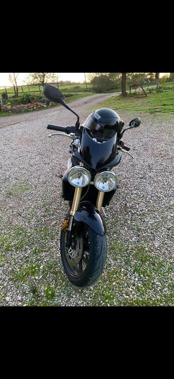 Triumph Street Triple (2007 - 12) (3)