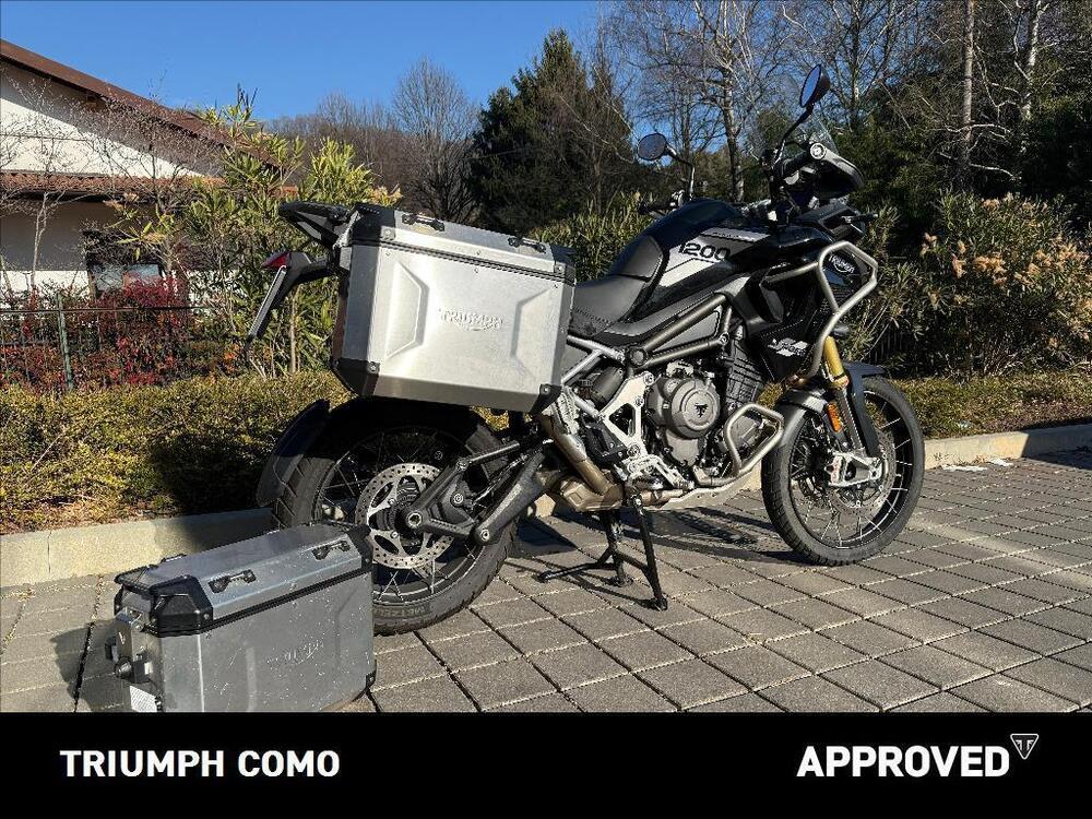 Triumph Tiger 1200 Rally Pro (2022 - 23) (3)