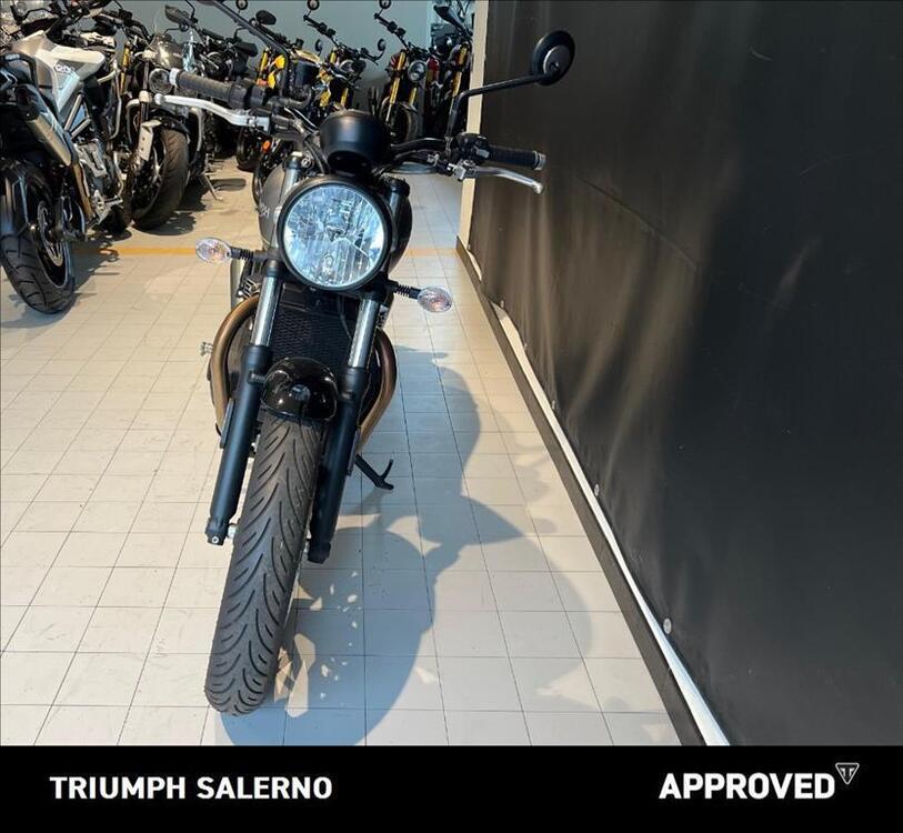 Triumph Speed Twin 900 (2023 - 24) (3)