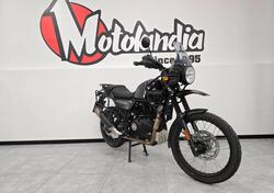 Royal Enfield Himalayan 450 (2024 - 25) usata