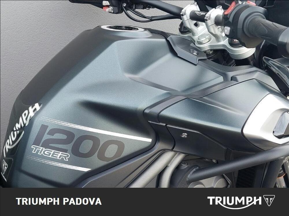 Triumph Tiger 1200 XCa (2018 - 20) (4)