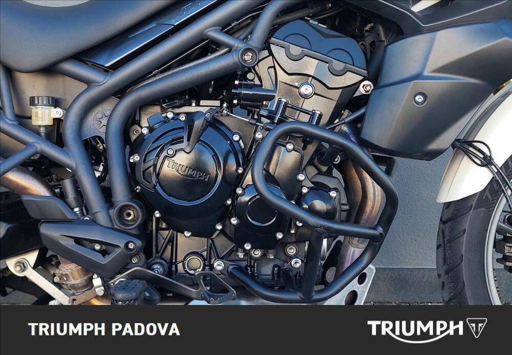 Triumph Tiger 800 ABS (2010 - 14) (4)