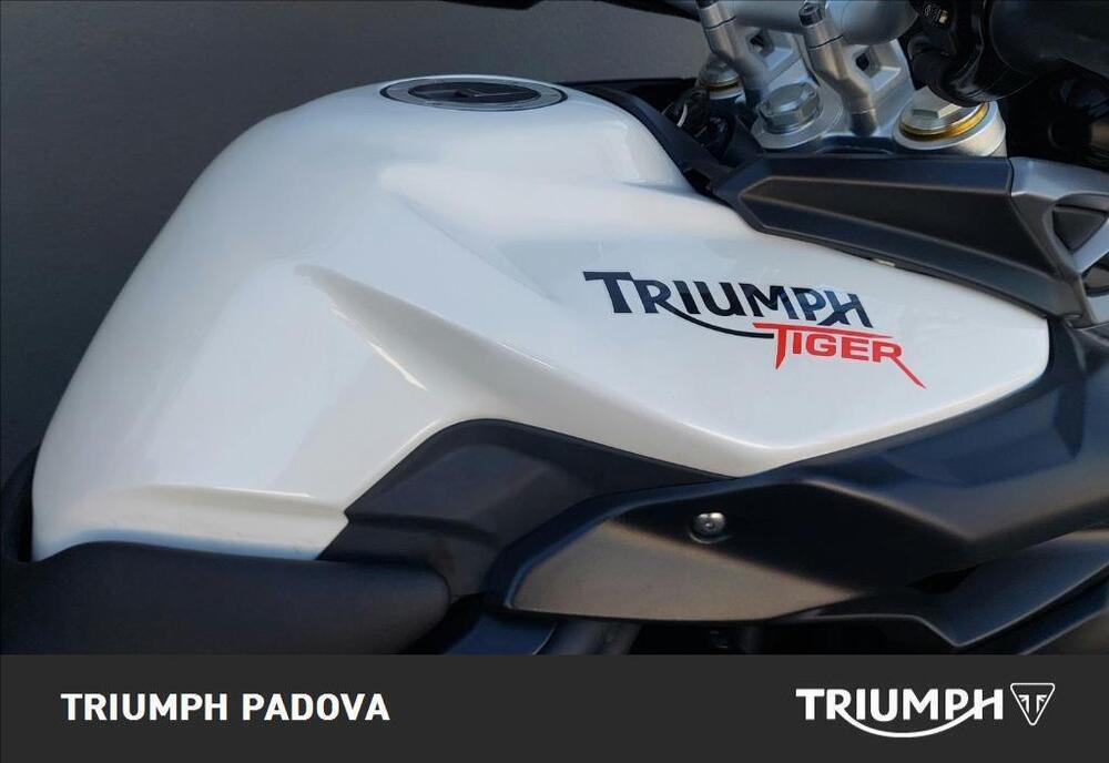 Triumph Tiger 800 ABS (2010 - 14) (5)