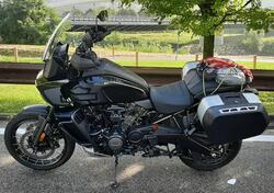 Harley-Davidson Pan America 1250 Special (2020 - 25) usata