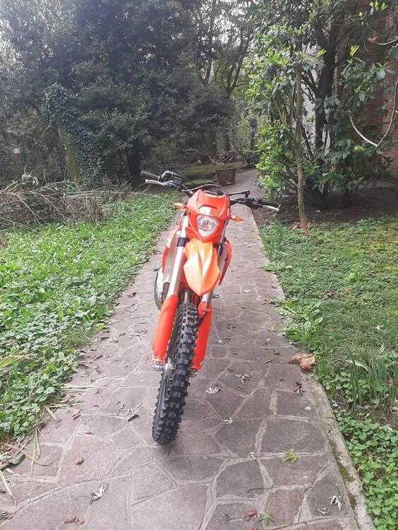 Betamotor RR 125 2T Enduro (2023) (5)