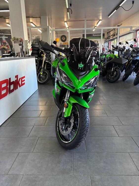 Kawasaki Z 1000 SX Tourer (2017 - 20) (3)