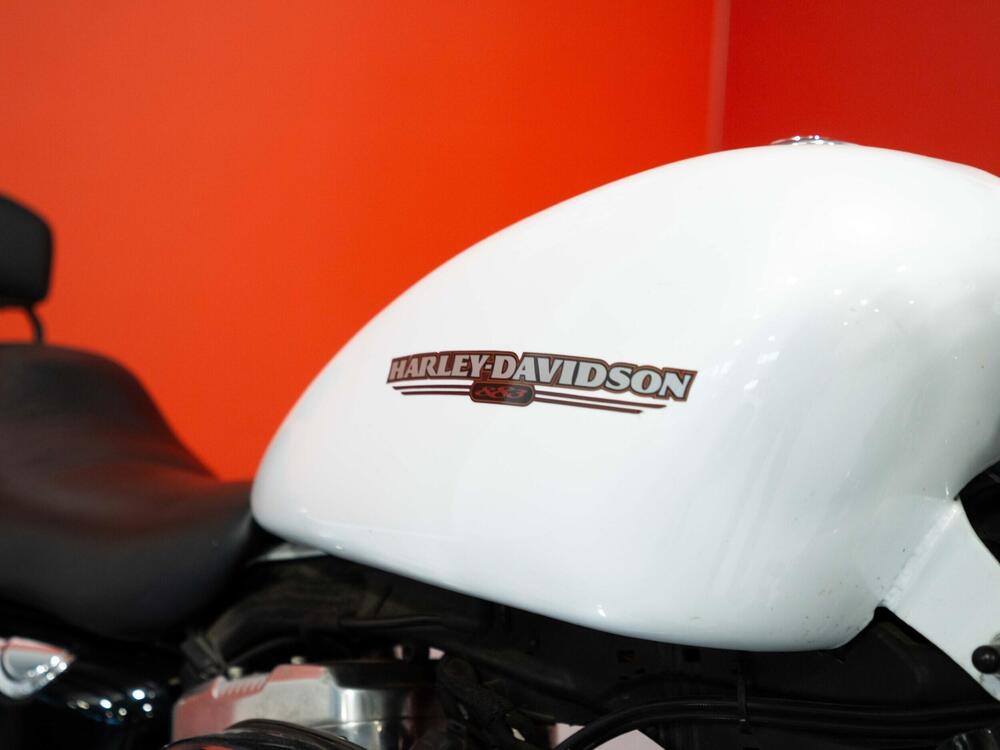 Harley-Davidson 883 Low (2008 - 12) - XL 883L (5)