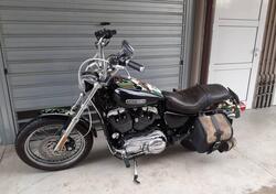 Harley-Davidson 1200 Low (2006 - 07) - XL 1200L usata