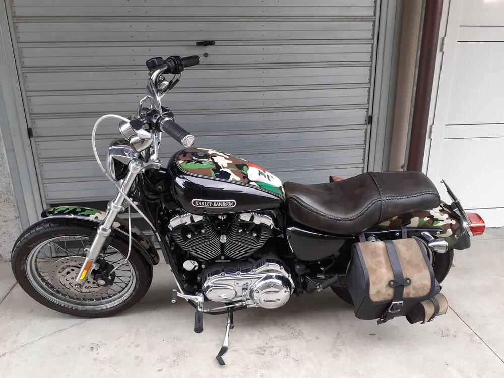 Harley-Davidson 1200 Low (2006 - 07) - XL 1200L (2)