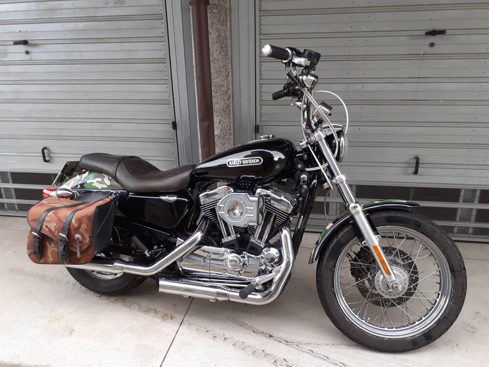 Harley-Davidson 1200 Low (2006 - 07) - XL 1200L (3)