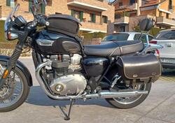 Triumph Bonneville T100 (2017 - 20) usata