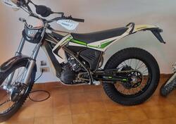 Ossa TR 280I (2012 - 14) usata