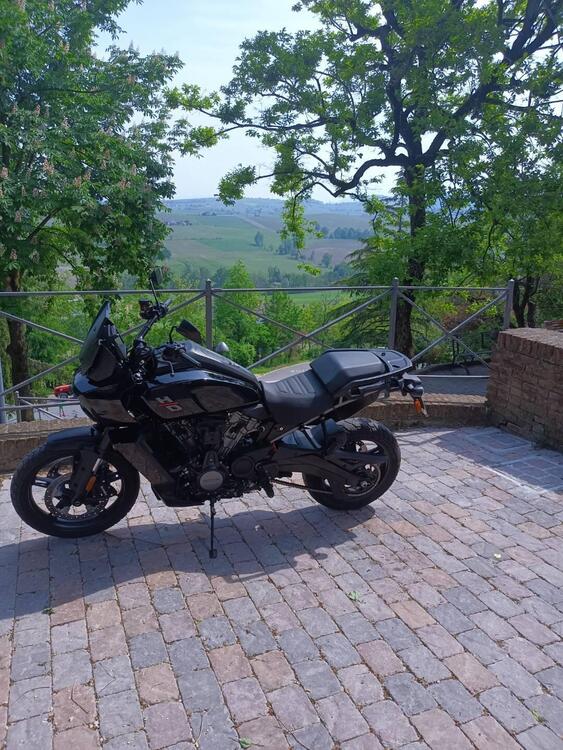 Harley-Davidson Pan America 1250 (2020 - 25)