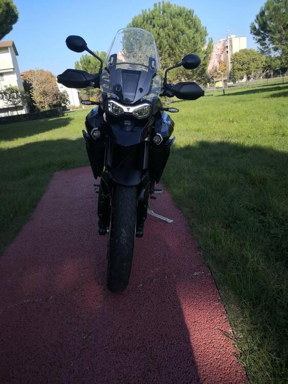 Triumph Tiger 900 GT Pro (2020 - 23) (5)