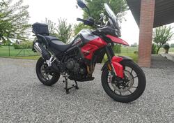 Triumph Tiger 850 Sport (2021 - 25) usata