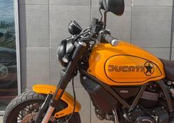 Ducati Scrambler 1100 Tribute Pro (2022 - 24) usata