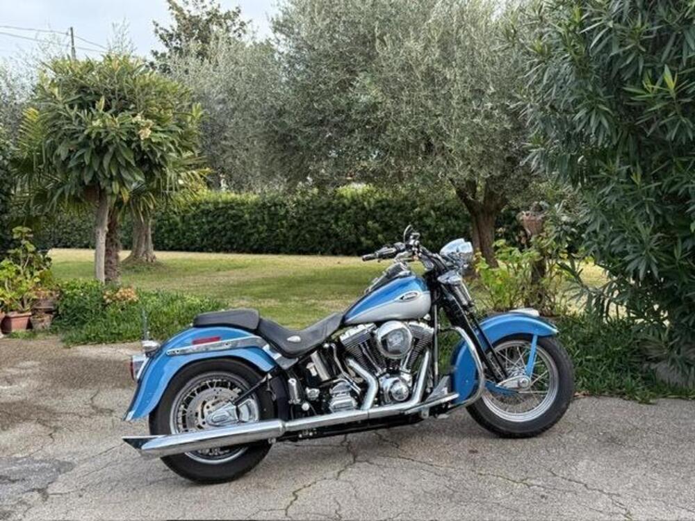 Harley-Davidson 1450 Springer Classic (2005) - FLSTSCI (3)