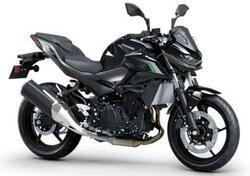 Kawasaki Z 500 (2024 - 25) nuova