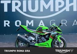 Kawasaki Ninja 636 ZX-6R (2024 - 25) usata