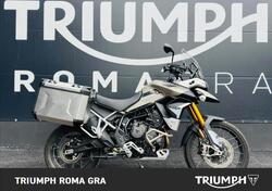 Triumph Tiger 900 Rally Pro (2020 - 23) usata