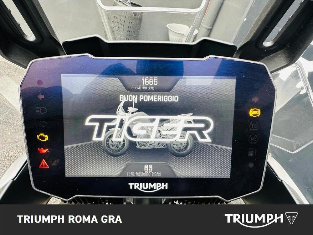 Triumph Tiger 900 Rally Pro (2020 - 23) (4)