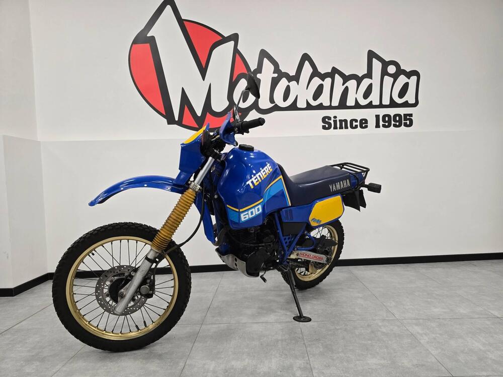 Yamaha xt 600 z tenere (2)