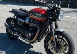 Triumph Speed Twin 1200 (2019 - 20) usata