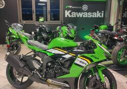 Kawasaki Ninja 636 ZX-6R (2024 - 25) nuova