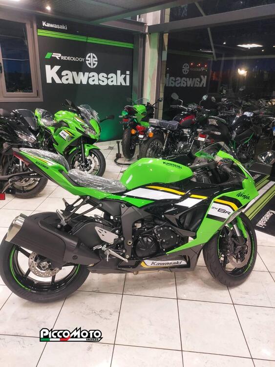 Kawasaki Ninja 636 ZX-6R (2024 - 25) (4)