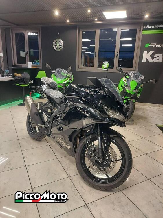 Kawasaki Ninja ZX-4R (2024 - 25) (2)