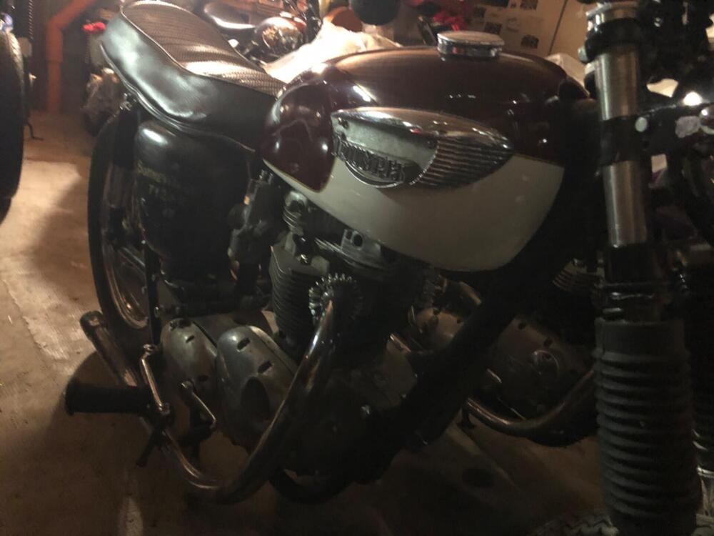 Triumph T120 Bonneville TT look (3)