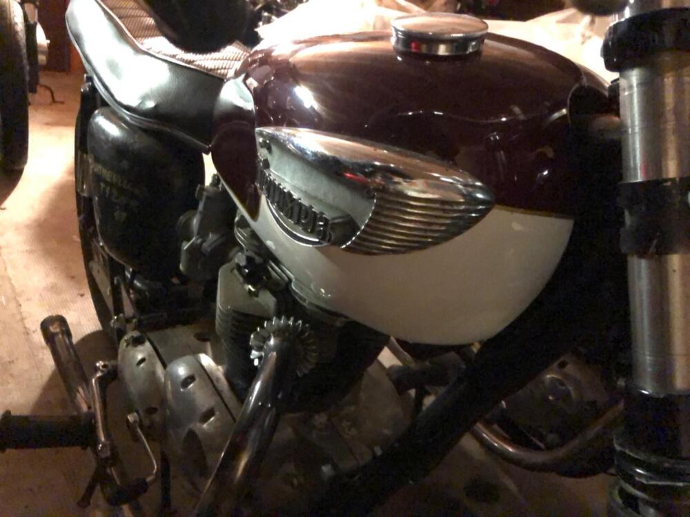 Triumph T120 Bonneville TT look (5)